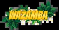 Online Casino Wazamba Australia Logo